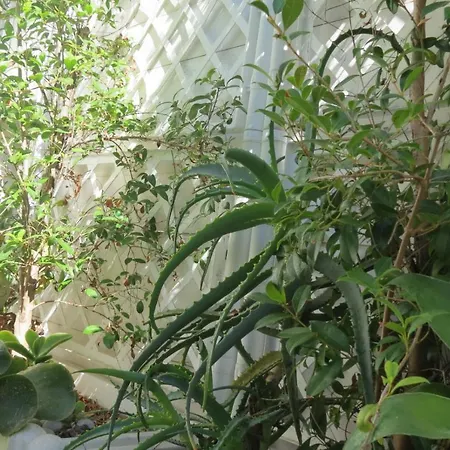 Casetta Costa Turchina Σπίτι διακοπών